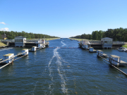 Falsterbo Canal (June 9th)