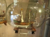 Ship in bottle museum