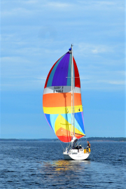 Under spinnaker in the Aland Islands