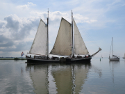 Brown boat in Hoorn