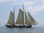 Brown boat in Hoorn