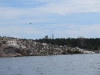 Island off Oxelosund