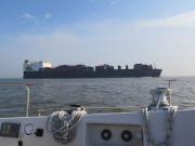 Shipping on the Elbe