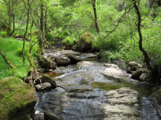 Rhu to Lochgoilhead