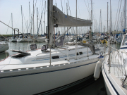 Viewing the boat pre-purchase at Levington