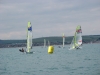 Sail for Gold Regatta