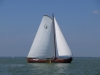 Skutsje sailing