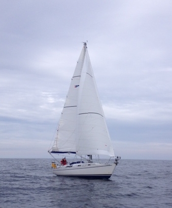 Charmary sailing towards Eyemouth