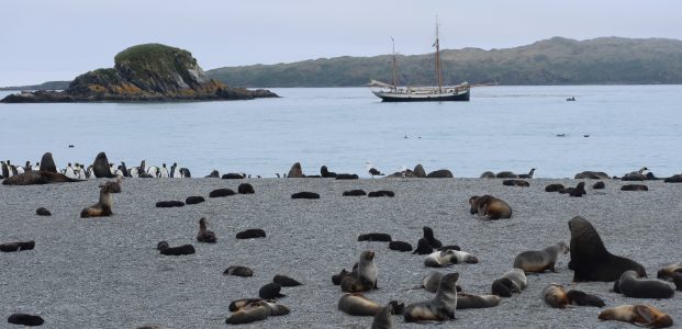 Rosita Bay to Prince Olav’s Harbour