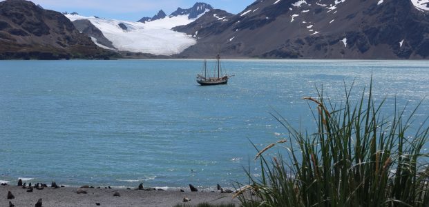 Prince Olav’s Harbour to Husvik