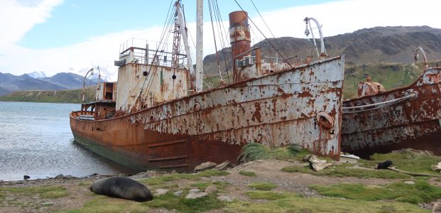 Husvik to Grytviken