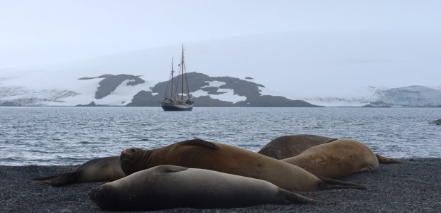 Greenwich Island to Deception Island via Yankee Harbour