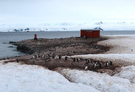 Deception Island to Mikkelsen Harbour