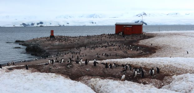 Deception Island to Mikkelsen Harbour