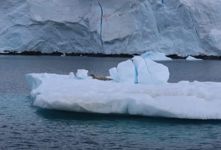 Enterprise Island to Port Lockroy