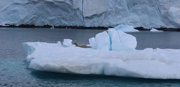 Enterprise Island to Port Lockroy