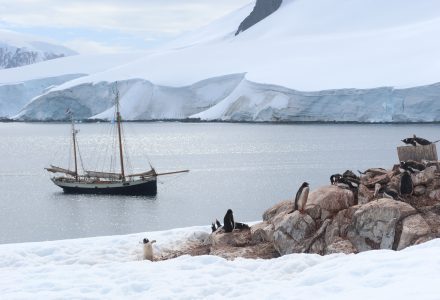 Port Lockroy to Paradise Harbour (Waterboat Point)