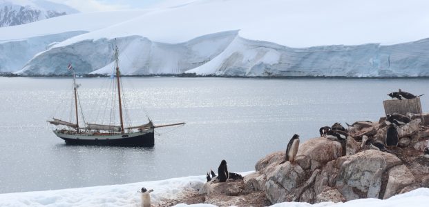 Port Lockroy to Paradise Harbour (Waterboat Point)