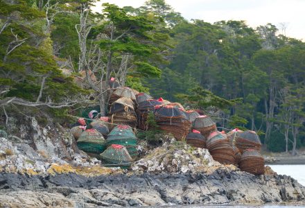 Picton Island to Puerto Eugenia