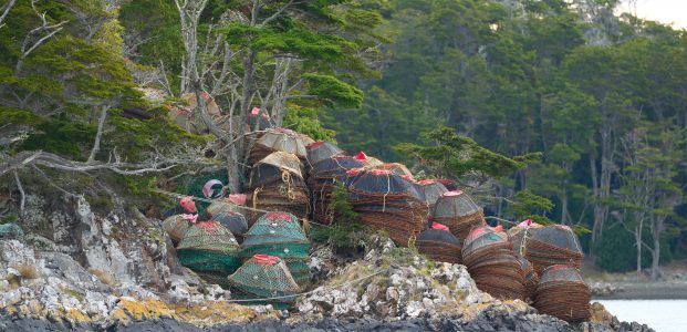 Picton Island to Puerto Eugenia